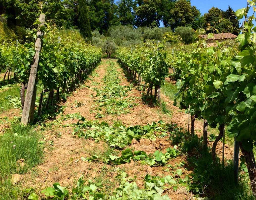 ২০০৫ সালে বাবা অনেকটাই সুস্থ হয়ে ওঠেন। হাঁটাচলাও করতে শুরু করেন। চাষের কাজ ছেড়ে জ্যোৎস্না পড়াশোনায় মন দেন। কম্পিউটার অ্যাপ্লিকেশন নিয়ে পড়াশোনা করে ইঞ্জিনিয়ারিংয়ের লক্ষ্যে এগোতে থাকেন। চাকরিও পান। কিন্তু ভাগ্যের হাতছানিতে বাবার স্বপ্ন পূরণ করতে গিয়ে নিজের স্বপ্নকে টিকিয়ে রাখতে পারলেন না।