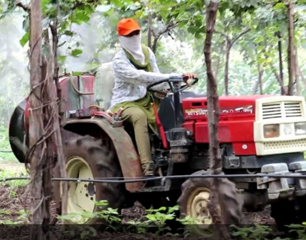 ২০১৭ সালে চাকরি ছেড়ে গ্রামে ফিরে এলেন জ্যোৎস্না। দিন রাত এক করে মন দিয়ে চাষ-আবাদ শুরু করলেন। শয্যাশায়ী বাবার মুখে শুনে ট্রাক্টর চালানোও শিখে ফেলেন। পরিণতি?