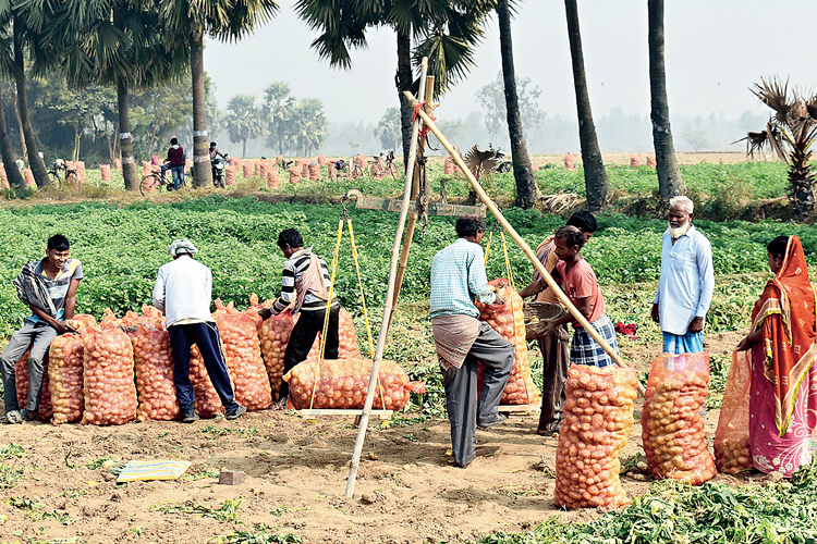 Government needs new policy and new rules to bring good days for farmers