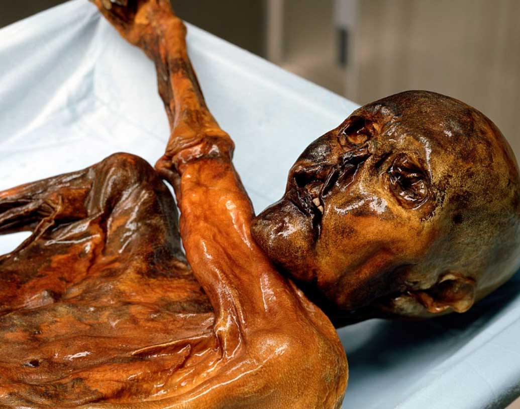 দ্য আইসম্যান: ১৯৯১-এ ইতালির ওত্জ়াল আল্পসে ওত্‌জ়ি ওরফে আইসম্যানের মমি উদ্ধার হয়। মনে করা হয়, ৩ হাজার খ্রিস্টপূর্বাব্দে আইসম্যানের মৃত্যু হয়েছিল। কথিত, যাঁরা এই উদ্ধারকাজে জড়িত ছিলেন, তাঁদের প্রত্যেকেরই দুর্ঘটনায় মৃত্যু হয়।