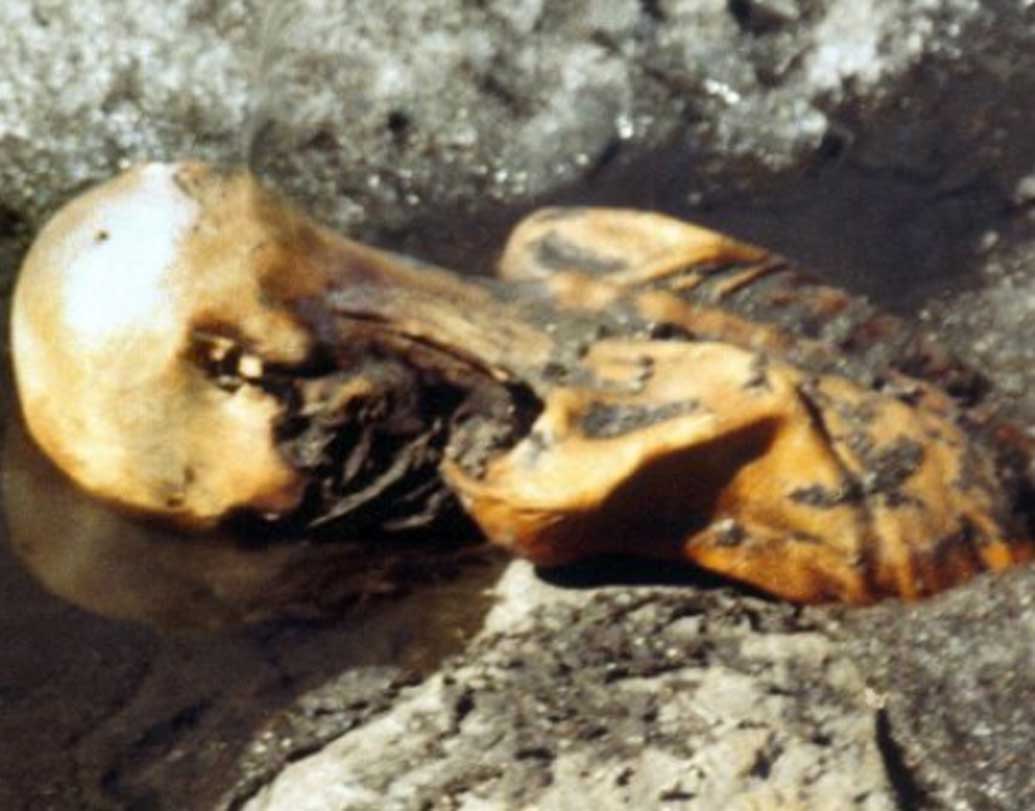 ফরেন্সিক প্যাথোলজিস্ট রেনার হেন গাড়ি দুর্ঘটনায় মারা যান। পর্বতারোহী কার্ট ফ্রিজের তুষারধসে মৃত্যু হয়। পড়ে মৃত্যু হয় হেলমুট সাইমনের। প্রচলিত বিশ্বাস, মানুষ মারার ক্ষমতা রয়েছে এই আইসম্যানের।