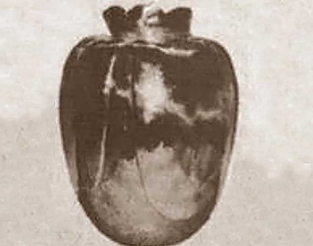 স্থানীয়দের দাবি, এর পর সেই ফুলদানিটি যে যে পরিবারের কাছে গিয়েছে কারও না কারও মৃত্যু হয়েছে। ফুলদানিটি ‘অভিশপ্ত’ বলে পরবর্তীকালে কেউ নিতে চায়নি। এখন এই ফুলদানি কোথায় রয়েছে কেউ জানে না। তবে মনে করা হয়, এটি কোনও এক অজ্ঞাত জায়গায় মাটির নীচে পুঁতে রাখা হয়েছে।