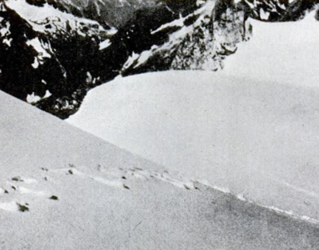 টিনটিন তো সাংবাদিক ছিল, তবে বইয়ের পাতায়। ১৯২১ সালে ব্রিটিশ সাংবাদিক হেনরি নিউম্যান এক দল ব্রিটিশ অভিযাত্রীর সাক্ষাৎকার নেন। অভিযাত্রীরা তাঁকে বলেন, হিমালয়ের কোলে বিশালাকার পায়ের ছাপ দেখেছিলেন তাঁরা। নিউম্যানই প্রথম ‘অ্যাবোনিমেবল’ শব্দটা বলেন।