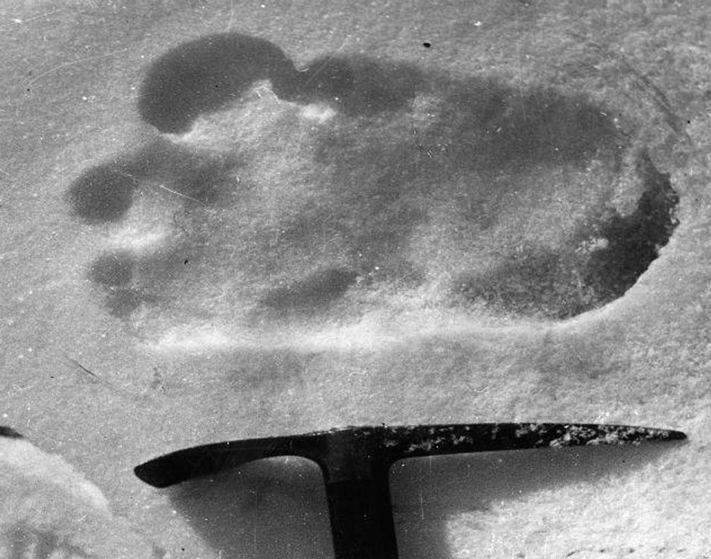 গবেষক মাইরা শ্যাকলে ‘স্টিল লিভিং? ইয়েতি সাসকোয়াৎচ, অ্যান্ড দ্য নিয়ানডারথাল এনিগমা’-তে বলেন, ১৯৪২ সালে দু’জন অভিযাত্রী বিশালাকার কোনও প্রাণী দেখেছিলেন, তবে তাঁর রঙ কালো।