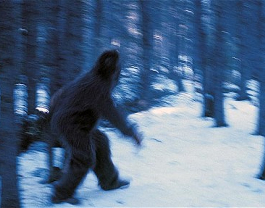 স্মিথসোনিয়ান ইনস্টিটিউশনের প্রাইমেট বায়োলজির অধিকর্তা অ্যানাটমিস্ট, নৃতত্ত্ববিদ জন নেপিয়ার বলেন, বরফের ছায়াকে ভুল দেখেছেন অভিযাত্রী। (প্রতীকী ছবি)