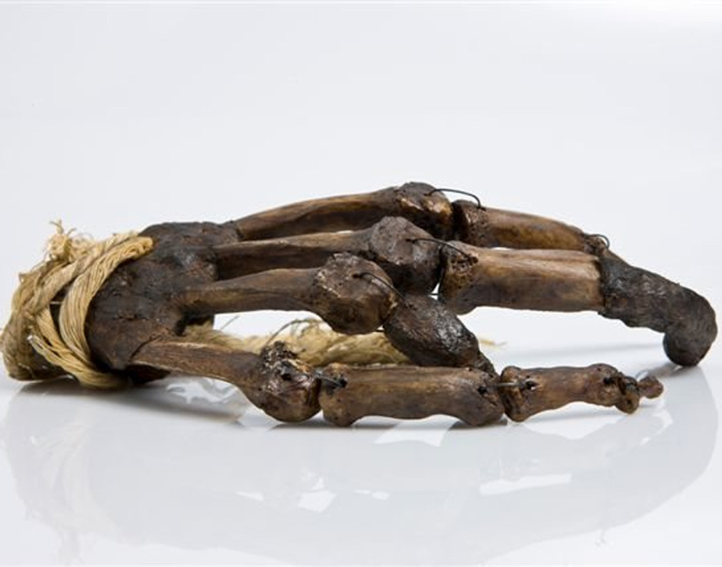 নেপালের একটি বৌদ্ধমঠে আঙুল মেলে একটি, দাবি করা হয় এটি নাকি ইয়েতির আঙুল। এডিনবার্গ চিড়িয়াখানায় ২০১১ সালে গবেষকরা এটি পরীক্ষা করেন। পরবর্তীতে ডিএনএ পরীক্ষা করে জানা যায়, সেটিও বৌদ্ধ সন্ন্যাসীর মৃতদেহের অংশ। (প্রতীকী ছবি)