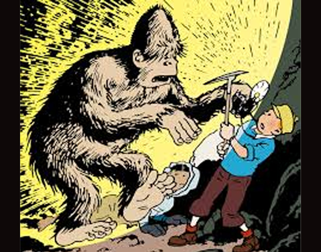 বিজ্ঞানী রোনাল্ড এইচ পাইন ও ইলিসের ই গিতেরেজ বলেন, সাধারণ বাদামী ভাল্লুকের ডিএনএ ছিল এটি। ইয়েতির নমুনা বলে দাবি করা ডিএনএ আসলে এশীয় ভাল্লুক, হিমালয়ের ভাল্লুক, তিব্বতীয় ভাল্লুক ও কুকুরের। তাই টিনটিন গল্পে দেখা পেলেও বাস্তবে প্রমাণ এখনও মেলেনি।