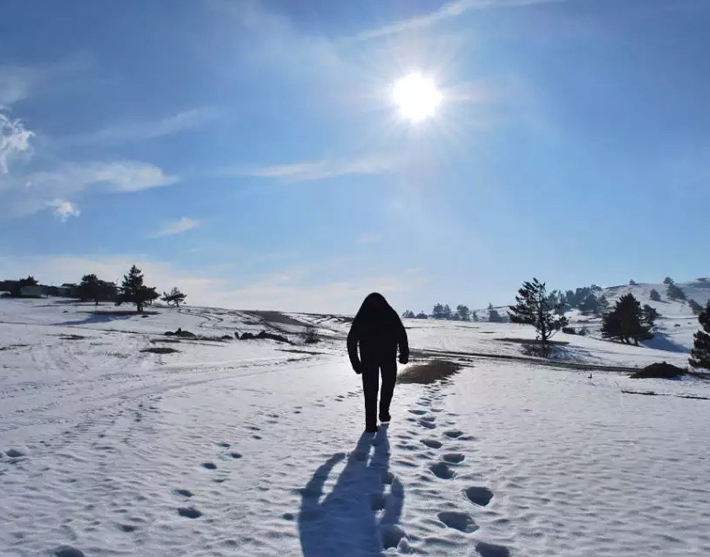 হিমালয়, সাইবেরিয়া, মধ্য ও পূর্ব এশিয়ায় এই ইয়েতি বা মে-তে-দের দেখা যায়, জনশ্রুতি বলছে এমনটাই।
