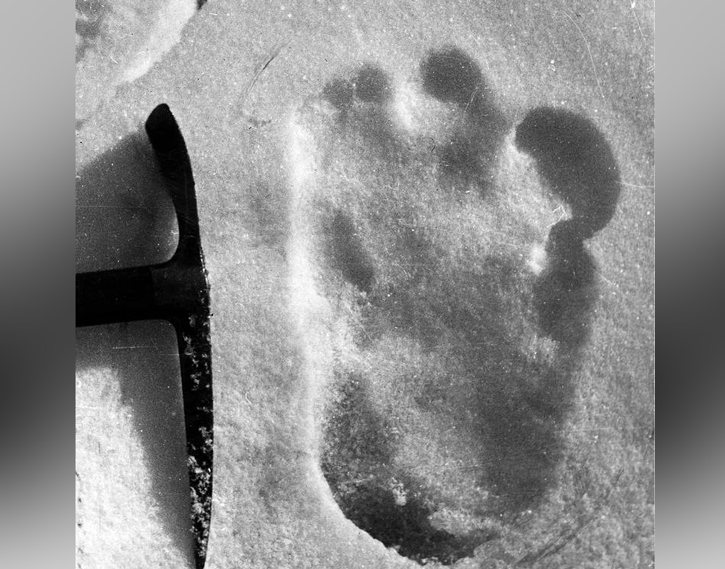 এক দল গবেষক যদিও বিশালাকার ওই পায়ের ছাপ দেখে ডিএনএ পরীক্ষার পর জানিয়েছিলেন, প্রাগৈতিহাসিক যুগের (প্লিস্টোসিন) ভাল্লুকের সঙ্গে মিল রয়েছে এই প্রাণীটির (যদি সত্যিই এটির অস্তিত্ব থাকে।) 