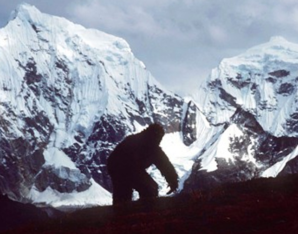 ইয়েতি যদিও একটি তিব্বতি শব্দ। কেউ কেউ প্রাণীটিকে মিশে বা ‘মানব ভল্লুক’ বলেও উল্লেখ করেছিলেন। কেউ বলেন কাং আদমি।