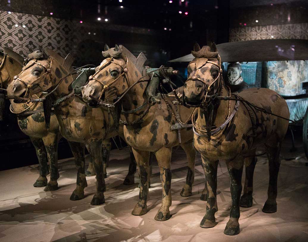 আসলে আলাদা করে কোনও রাসায়নিক নয়, জিয়াং ও তার আশেপাশের মাটিই এগুলোকে সংরক্ষণ করে আসছে বছরের পর বছর ধরে, মত বিজ্ঞানীদের।