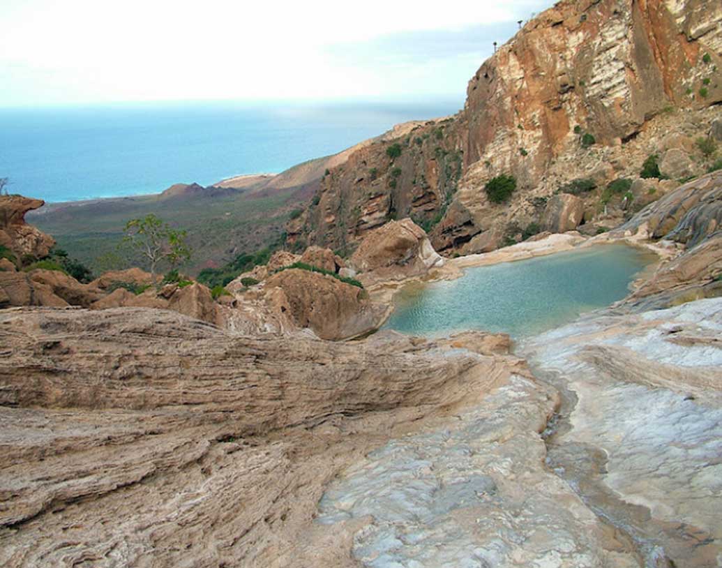 বিজ্ঞানীরা জানাচ্ছেন, সকোত্রার মোট উদ্ভিদের প্রজাতির ৩৭ শতাংশ, সরীসৃপের ৯০ শতাংশ এবং স্থল শামুকের ৯৫ শতাংশই বিশ্বের কোনও জায়গায় পাওয়া যায় না।