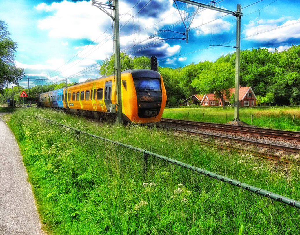 এই বার্ষিক উৎসবের স্পনসর হিসেবে এগিয়ে এসেছিল ডাচ স্টেট রেলওয়ে কোম্পানি। শুধু কি বই বিতরণ, ট্রেনের মধ্যেই ইয়ান সিবেলিঙ্কের বুক রিডিং-এর ব্যবস্থাও করেছিলেন রেল কর্তৃপক্ষ।