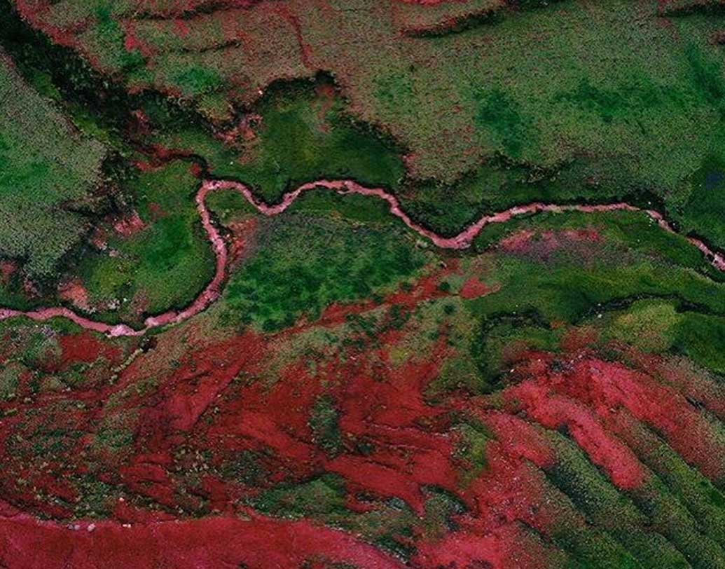 কিন্তু এই পৃথিবীতেই এমন এক নদী আছে যার জলের রং আপনাকে অবাক করবেই। কোথায় রয়েছে এই নদী, কেনই বা এমন রং, আদৌ কি বিষয়টি ঠিক, জেনে নেওয়া যাক।