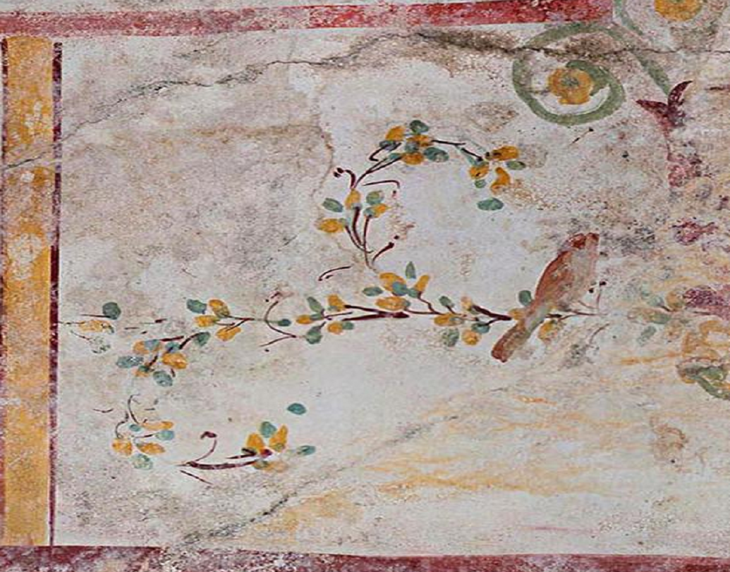 রোমে ঐতিহাসিক নির্মাণ কেন্দ্রে মেরামতির কাজ চলছিল। খোঁড়াখুঁড়ি করতে গিয়ে সম্প্রতি সেখানেই হদিশ এই গোপন কুঠুরির হদিশ পেয়েছেন প্রত্নতত্ত্ববিদরা। ওই কুঠুরির দেওয়ালে নরঘোটক-সহ নানা পৌরাণিক জীবের ছবি আঁকা রয়েছে। রয়েছে ফুল-পাতা, সাপ এবং পাখির ছবিও।