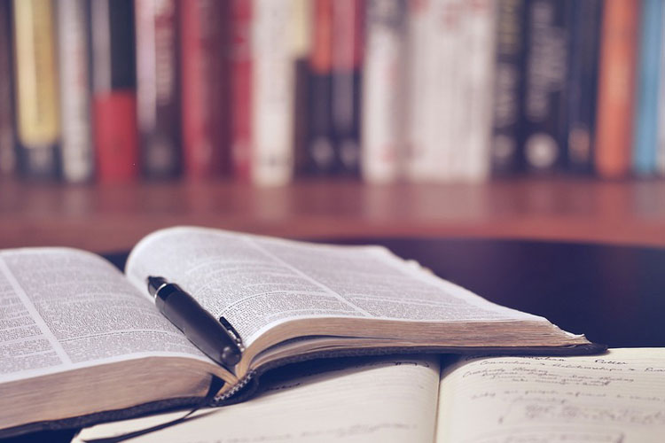 Rajasthan government to remove Jauhar from textbooks