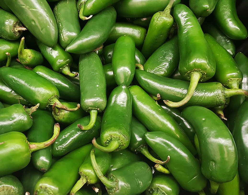 ক্যানসারের বিরুদ্ধে লড়তে সক্ষম কাঁচালঙ্কা। এর অ্যান্টিঅক্সিড্যান্ট উপাদান বিভিন্ন ক্রনিক অসুখ ও সংক্রমণ থেকেও শরীরকে দূরে রাখে।