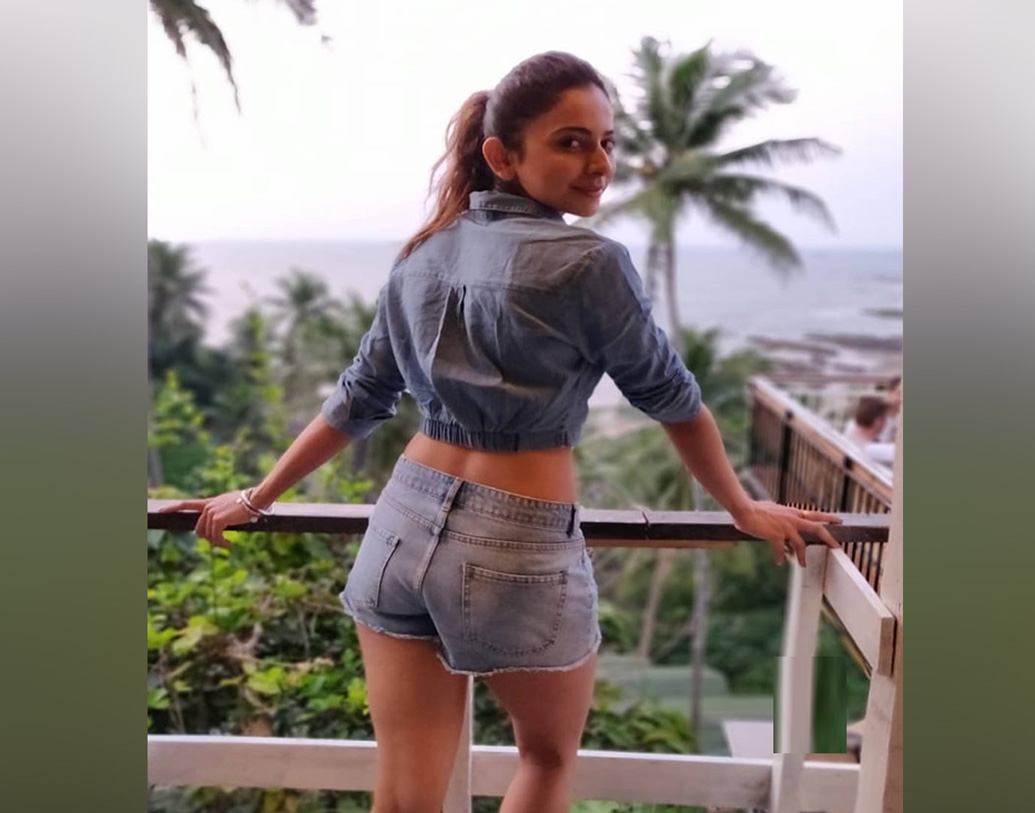 হিন্দি ছাড়াও কন্নড় ছবির অন্তম নায়িকা রকুল। ‘ভেঙ্কটডি এক্সপ্রেস’, ‘কারেন্ট থেগা’ ছবিতে তাঁকে দেখা গিয়েছে।