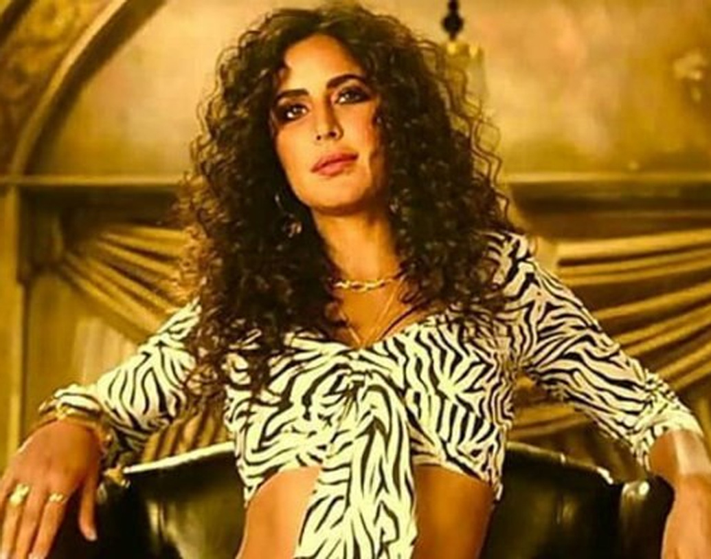 ক্যাটরিনা কইফের আসল নাম ক্যাটরিনা তুরকোতে। এটাই বা ক‘জন জানেন।