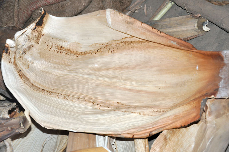 তার জন্য দরকার সুপুরি গাছের পাতার খোল। টুপির মাপ নিয়ে সুপুরি পাতার খোল গোল করে কেটে নিন। সেটি জলে ভিজিয়ে রাখুন কিছু ক্ষণ।  বাইরে বেরনোর আগে জল ঝেড়ে  টুপির মধ্যে রেখে দিন। সেই অবস্থাতেই টুপি পরে বেরোন। এতে মাথায় রোদ লাগবে না।