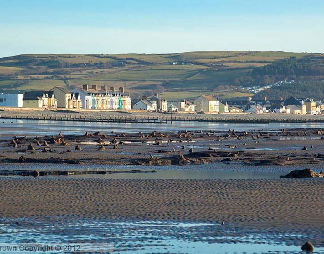দক্ষিণ-পশ্চিম ব্রিটেনের ওয়েলসে সম্প্রতি এই ঘটনা ঘটেছে। গত ২২ মে সেখানে আছড়ে পড়ে ঘূর্ণিঝড় হ্যানা। তার পরই সমুদ্র তীরবর্তী বর্থ এবং আনিস্লাস গ্রামের মধ্যবর্তী তিন-চার কিলোমিটার এলাকা জুড়ে ওই জঙ্গলের হদিশ মেলে। হঠাৎ মাটি ফুঁড়ে বেরিয়ে আসা ওই জঙ্গল নিয়ে হইচই পড়ে গিয়েছে চারিদিকে।