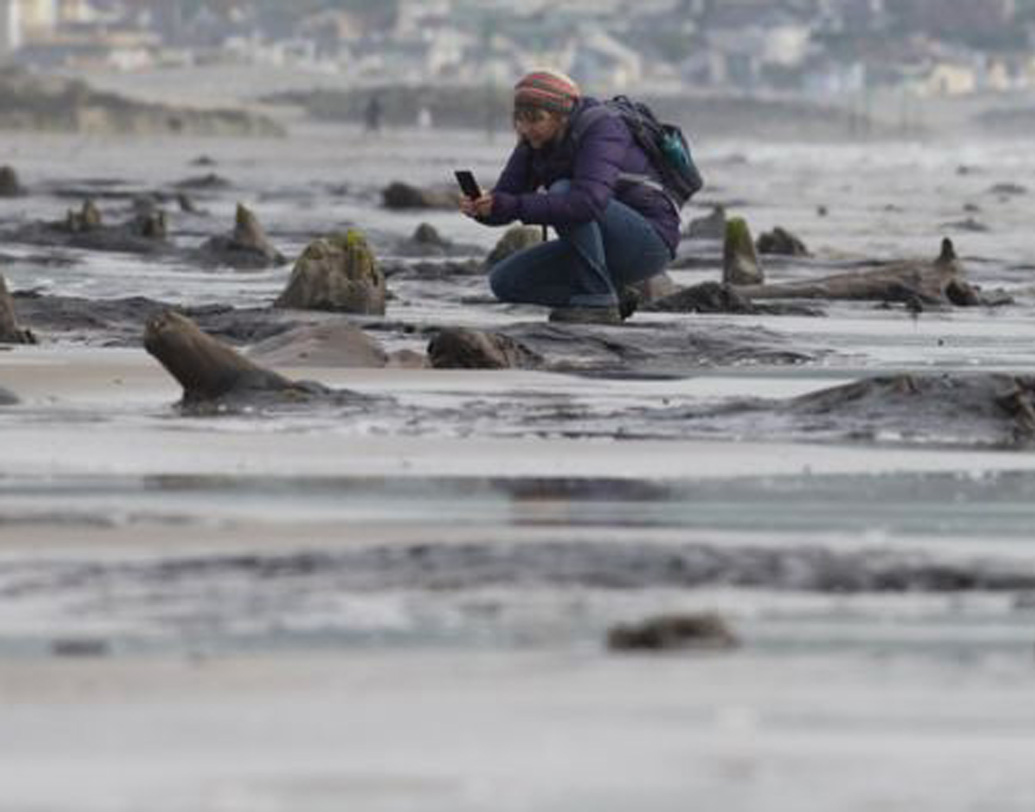 হঠাৎ করে সামনে আসা এই জঙ্গল নিয়ে মানুষের মধ্যেও কৌতূহল দেখা দিয়েছে। দেখা গিয়েছে ওই জঙ্গলে দাঁড়িয়ে সেলফি তোলার হিড়িকও। তবে কেউ কেউ আবার এই জঙ্গলের সঙ্গে বিলুপ্ত হয়ে যাওয়া এক সভ্যতার যোগও খুঁজে পেয়েছেন।