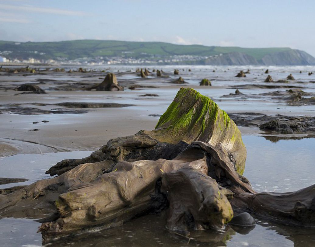তাঁদের কথায়, জঙ্গলের পাশাপাশি ওই এলাকায় জনবসতিও ছিল। ছিল চাষযোগ্য উর্বর জমিও। বন্যা আটকাতে চারিদিকে মজবুত বাঁধও নির্মাণ করেছিলেন সেখানকার মানুষ।জনশ্রুতি, এক মেরেডিড নামের মহিলা পুরোহিত কর্তব্যে অবহেলা করলে, তাঁর তদারকির দায়িত্বে থাকা একটি কুয়োর জল উপচে পড়ে। তাতেই সব কিছু ডুবে যায়।