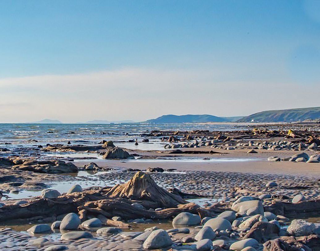 স্থানীয় বাসিন্দারা যদিও জানিয়েছেন, এর আগেও ওই এলাকায় কিছু গাছের অবশিষ্ট অংশ চোখে পড়েছে। মানুষের জীবাশ্ম এবং পশুপাখিদের পায়ের ছাপও খুঁজে পেয়েছেন প্রত্নতত্ত্ববিদরা। তবে বিস্তৃত এলাকা জুড়ে জঙ্গলের হদিশ এই প্রথম।