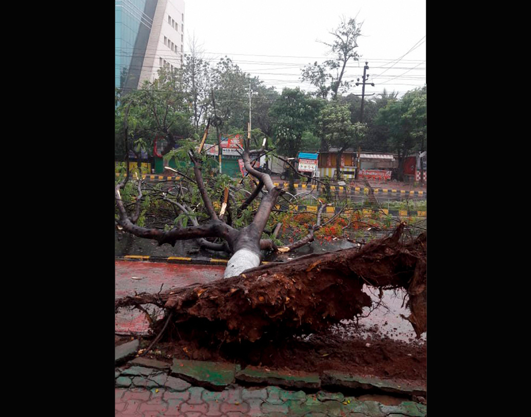 তাণ্ডব চলছে ভুবনেশ্বর, কটক, ভদ্রক, চাঁদিপুর, বালেশ্বরের মতো এলাকায়।  খুরদা, চাঁদবালি, জগৎসিংহপুরেও প্রবল ঝোড়ো হাওয়া ও বৃষ্টিপাত চলছে।