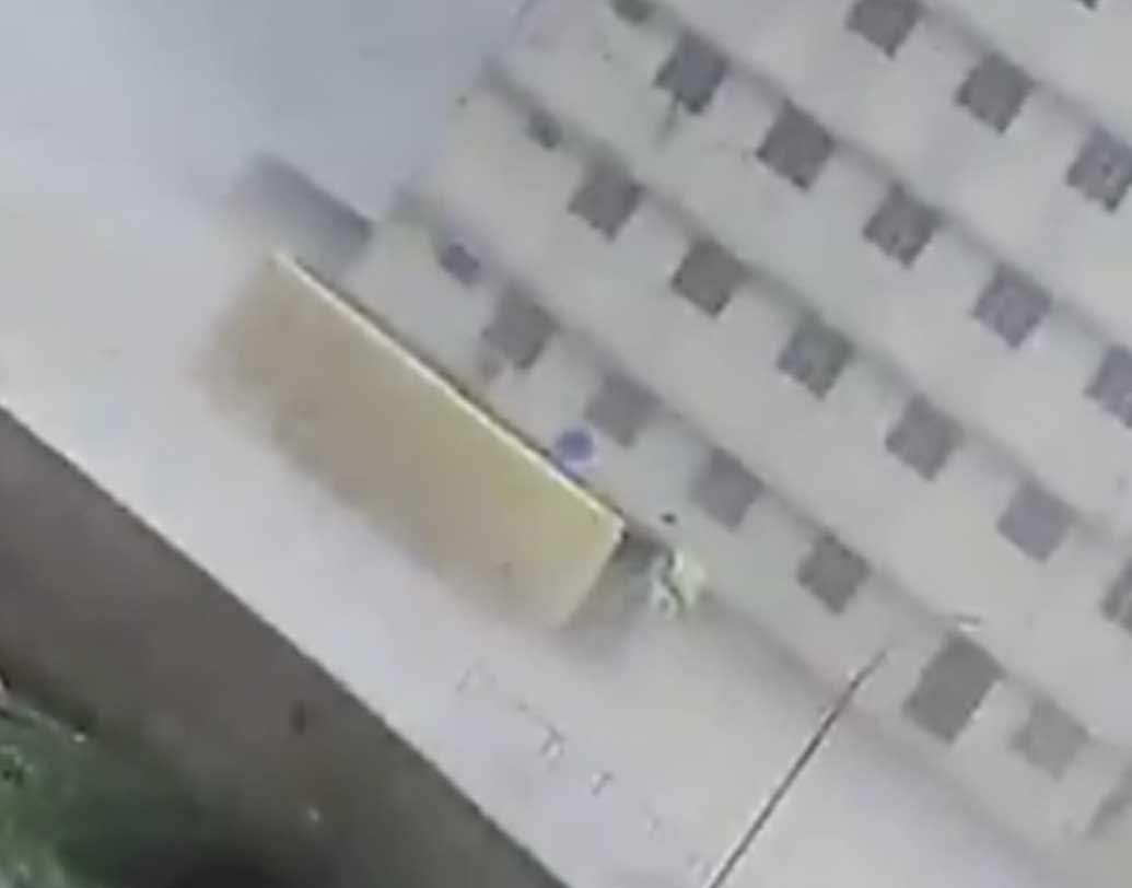 প্রবল ঝোড়ো হাওয়া বইছে উত্তরপ্রদেশের বরসানা, মথুরা, ভরতপুর-সহ বেশ কয়েকটি এলাকায়।