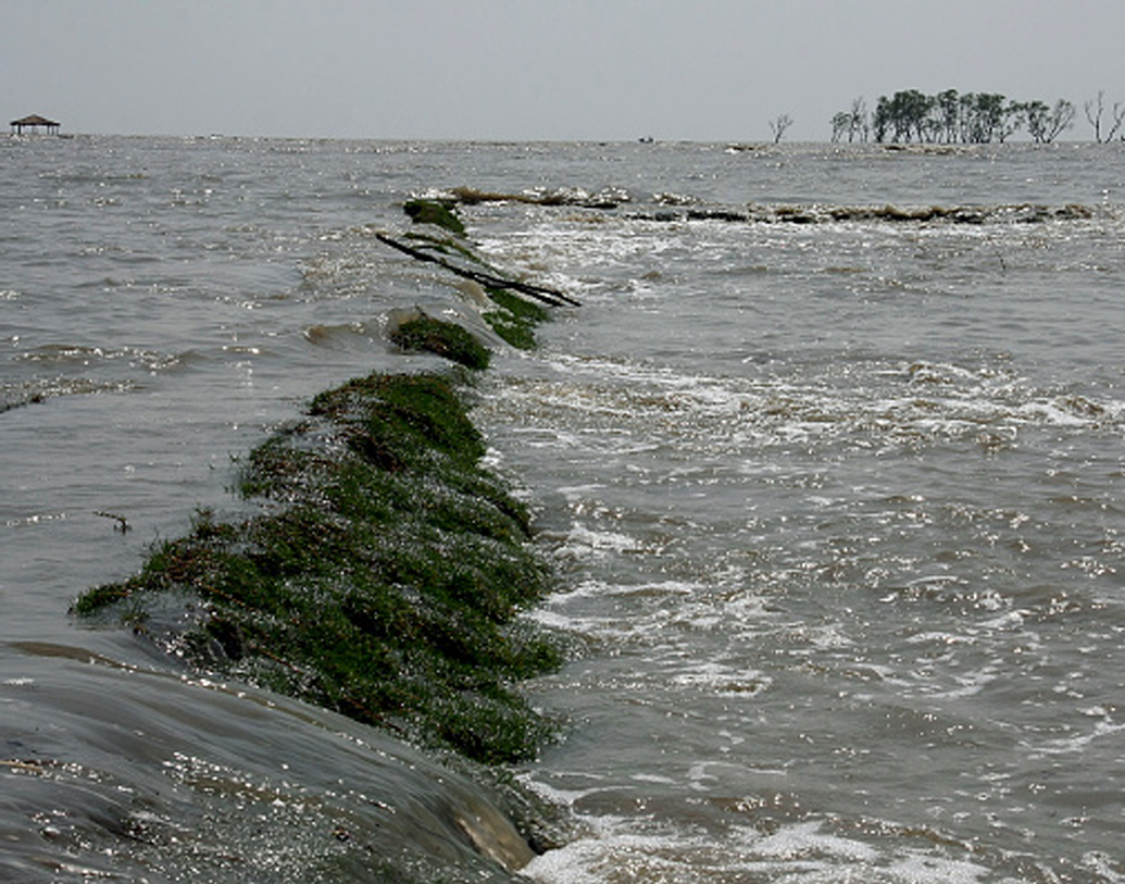 আয়লার থেকে এটি আরও বেশি বিপজ্জনক হতে পারত, তার কারণ ফণী বেশি শক্তিশালী। তবে আয়লা সরাসরি আঘাত হেনেছিল, যেটা ফণী করেনি।
