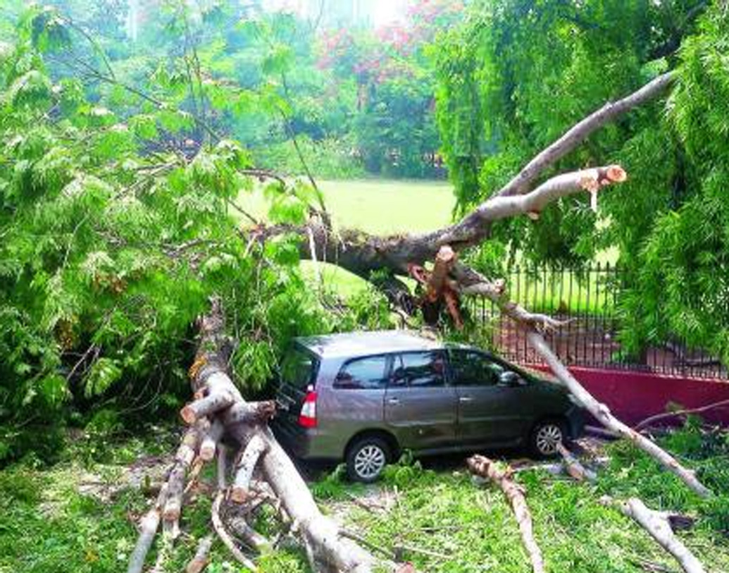 কলকাতার ২৫টি ট্র্যাফিক গার্ড এলাকায় পড়ে থাকা গাছ কেটে রাস্তা সাফাইয়ের জন্য দুই থেকে তিনটি দল তৈরি থাকবে। যাতে পুলিশকর্মীরা দ্রুত পরিস্থিতি স্বাভাবিক করতে পারেন। একই সঙ্গে পর্যাপ্ত বিকল্প আলোর ব্যবস্থা রাখার পরিকল্পনা করা হয়েছে।