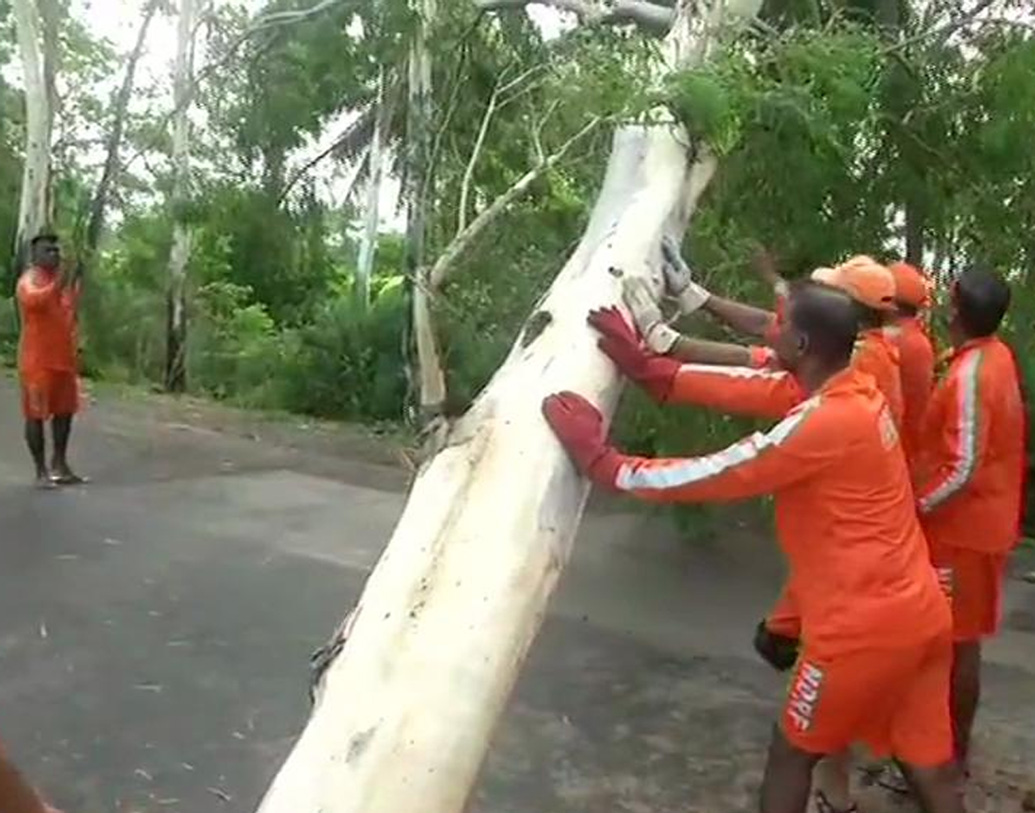 সন্দেশখালি ও ধামাখালিতে বেশ কিছু বাড়ির চাল উড়ে গিয়েছে।  উপড়ে যায় গাছও।