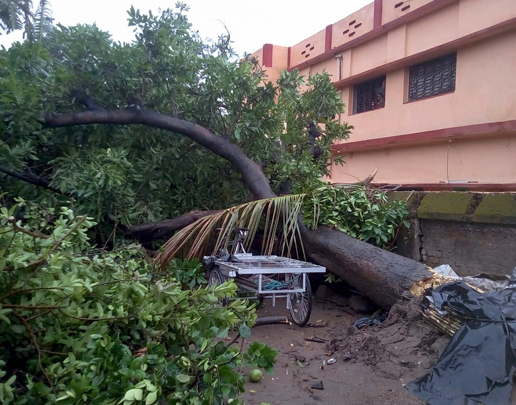 প্রশাসনের হিসেবে ভুবনেশ্বর, কটক, জাজপুর, ভদ্রকে কয়েক হাজার গাছ পড়ে আটকে যায় সড়ক। ছবি: পিটিআই