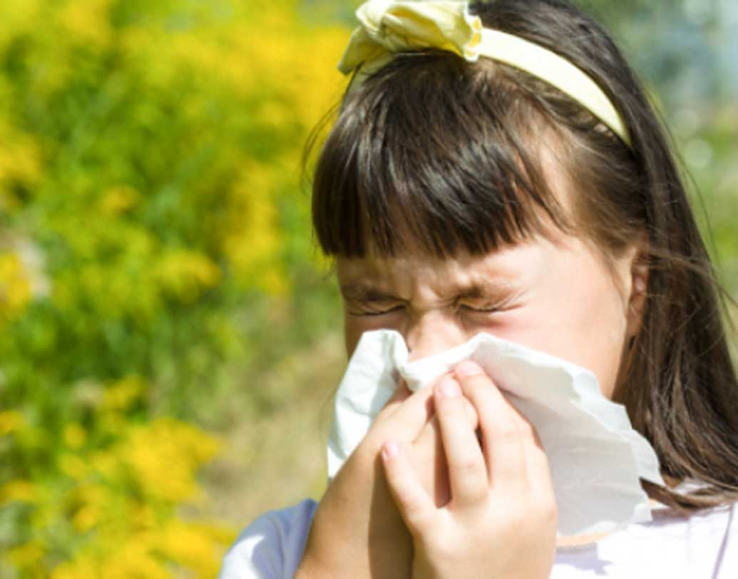 হাঁচি চাপলে একদিকে যেমন সেই সমস্ত জীবাণু শরীরের ভিতরেই থেকে যায়, নাক-মুখ চাপা অবস্থায় হাঁচলে কানেও চাপ পড়ে। শ্রবণ যন্ত্রের ক্ষতি হয়। খাদ্যনালীরও ক্ষতি হতে পারে।