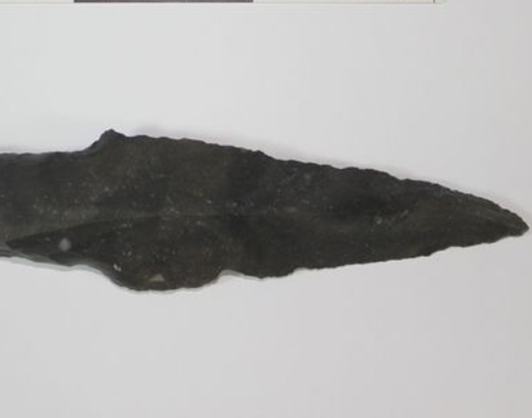 সে কারণেই বলি দিয়ে দেহ ফেলা হত এই হ্রদে। পাথরের ধারালো অস্ত্র বানিয়ে সেটা দিয়ে বলি দিয়ে সেই রক্ত এবং মৃতদেহ উৎসর্গ করা হত চিচেন ইৎজার গুহা হ্রদে।