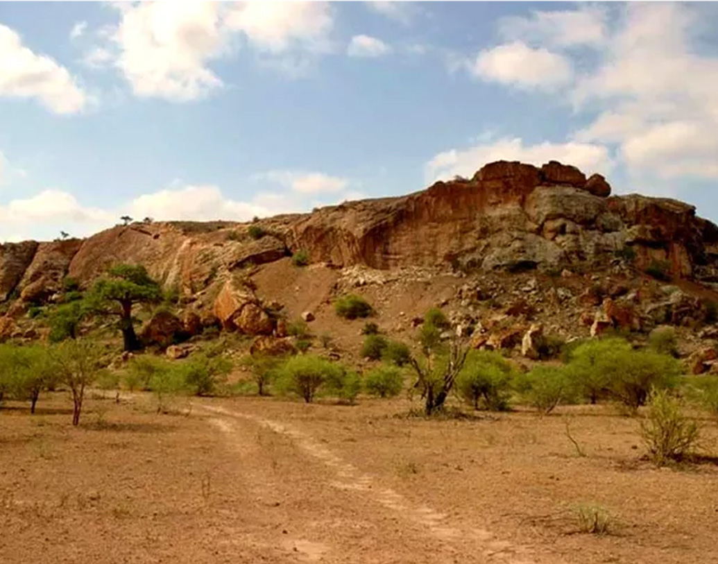 মাপুঙ্গুবে পাহাড় থেকে প্রিটোরিয়া বিশ্ববিদ্যালয়ের গবেষক ও শিক্ষার্থীদের তত্ত্বাবধানে এক রাজার সমাধি খননের সময় উদ্ধার হয় গন্ডারটি।