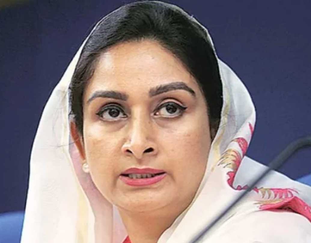 হরসিমরত পঞ্জাবের শিরোমনি অকালি দলের প্রথম সারির নেতা। তাঁর স্বামী সুখবীর সিংহ বাদল পঞ্জাবের উপমুখ্যমন্ত্রী। মহারাজা রণজিত সিংহের সেনাবাহিনীর জেনারেল ছিলেন আত্তার সিংহ মাঝিটিয়া। এই আত্তার সিংহেরই বংশধর হরসিমরত কৌর বাদল।