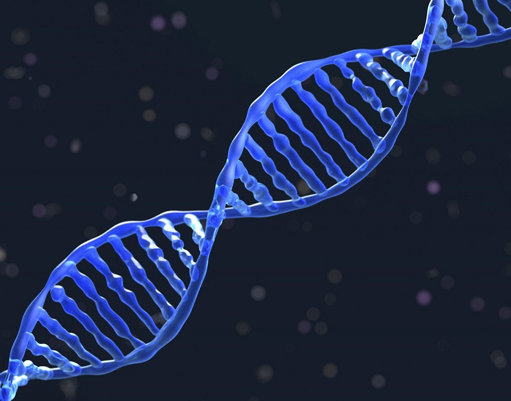 ডিএনএ: বায়োলজি পড়ার সময় নিশ্চই আপনার শিক্ষক বলেছেন যে প্রাণী কোষে ডিএনএ থাকে। যেটি আসলে ডিঅক্সিরাইবো নিউক্লিক অ্যাসিড। সুইস কেমিস্ট জোহান ফ্রেডরিক মিসচার ১৮০৬ সালে রক্তের কোষগুলির উপর গবেষণা করার সময় ডিএনএ আবিষ্কার করেন।