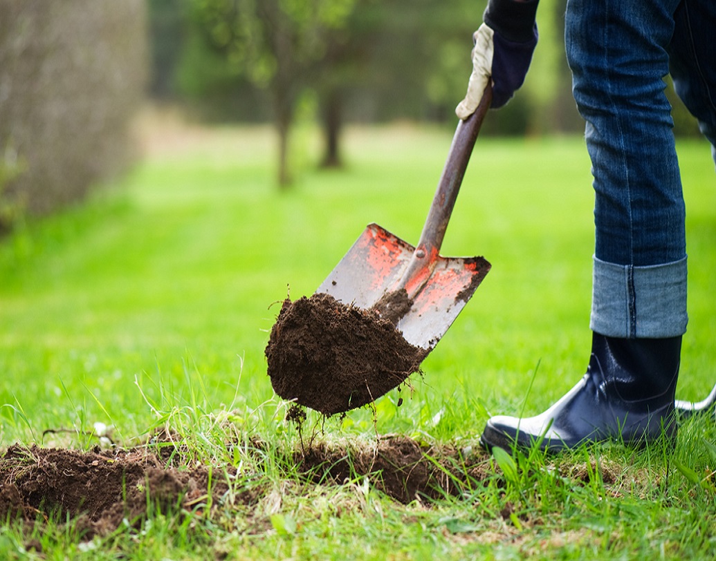 যেমন ভাবা তেমন কাজ। জন পর দিন থেকেই তাঁর নতুন বাড়ির বাগান খোঁড়া শুরু করেন। কিন্ত পাওয়া যাচ্ছিল না কিছুই। হতাশ হয়ে এক রকম আশা ছেড়েই দেন তিনি।