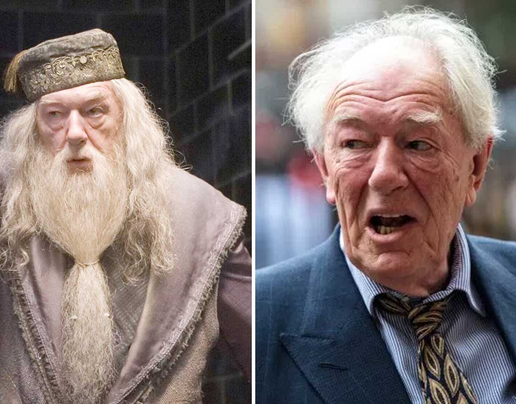 মাইকেল গ্যাম্বন (অ্যালবাস ডাম্বলডর): হগওয়ার্ডসের প্রধান শিক্ষক হিসেবে ডাম্বলডর চরিত্রটি সকলেরই প্রিয়। ২০১৯-এ ‘জুডি’ এবং ‘করডেলা’-য় তিনি অভিনয় করেছেন। এ ছাড়াও, 'জেমস অ্যান্ড লুসিয়া'-তে তাঁকে অ্যালফ্রেড ভগটের চরিত্রে অভিনয় করতে দেখা যাবে।