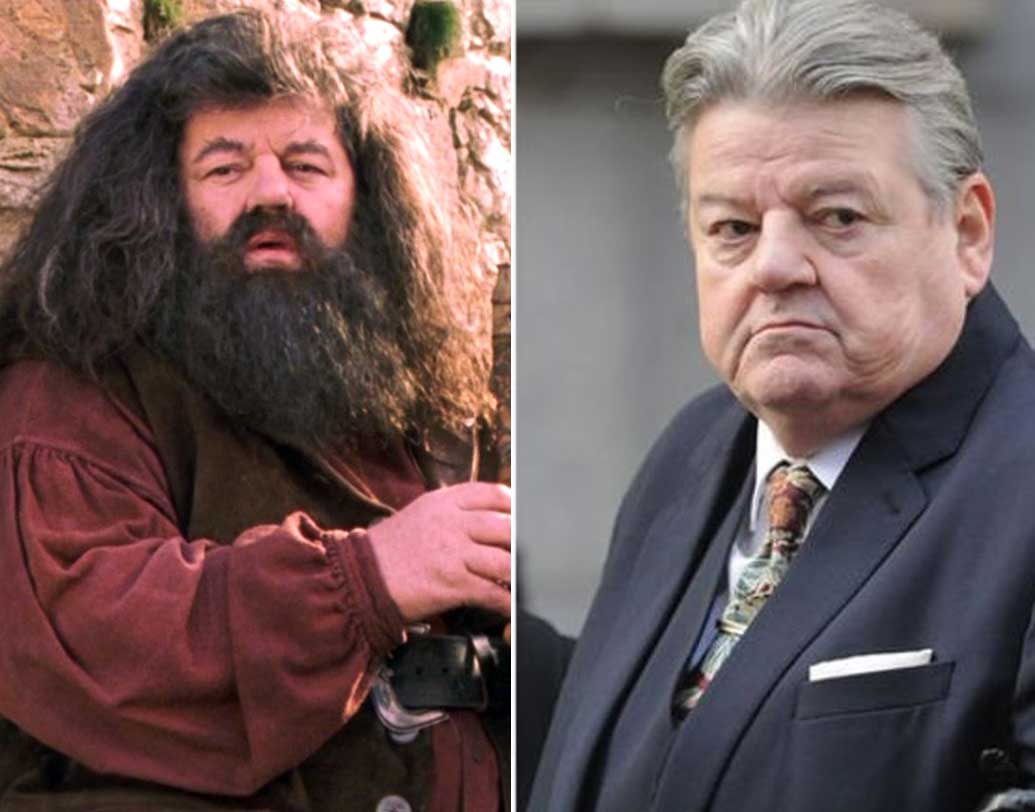 রবি কলট্রেন (রুবিয়াস হ্যাগ্রিড): হাফ জায়েন্ট হ্যাগ্রিড চরিত্রটিতে অভিনয় করার আগে রবি কল্ট্রেন অনেক সিনেমায় কাজ করেছেন। সিরিজটি শেষ হওয়ার পর তিনি 'পিক্সারস ব্রেভ', 'গ্রেট এক্সপেকটেশন্স', 'ন্যাশনাল ট্রেসর'-এ অভিনয় করেছেন।