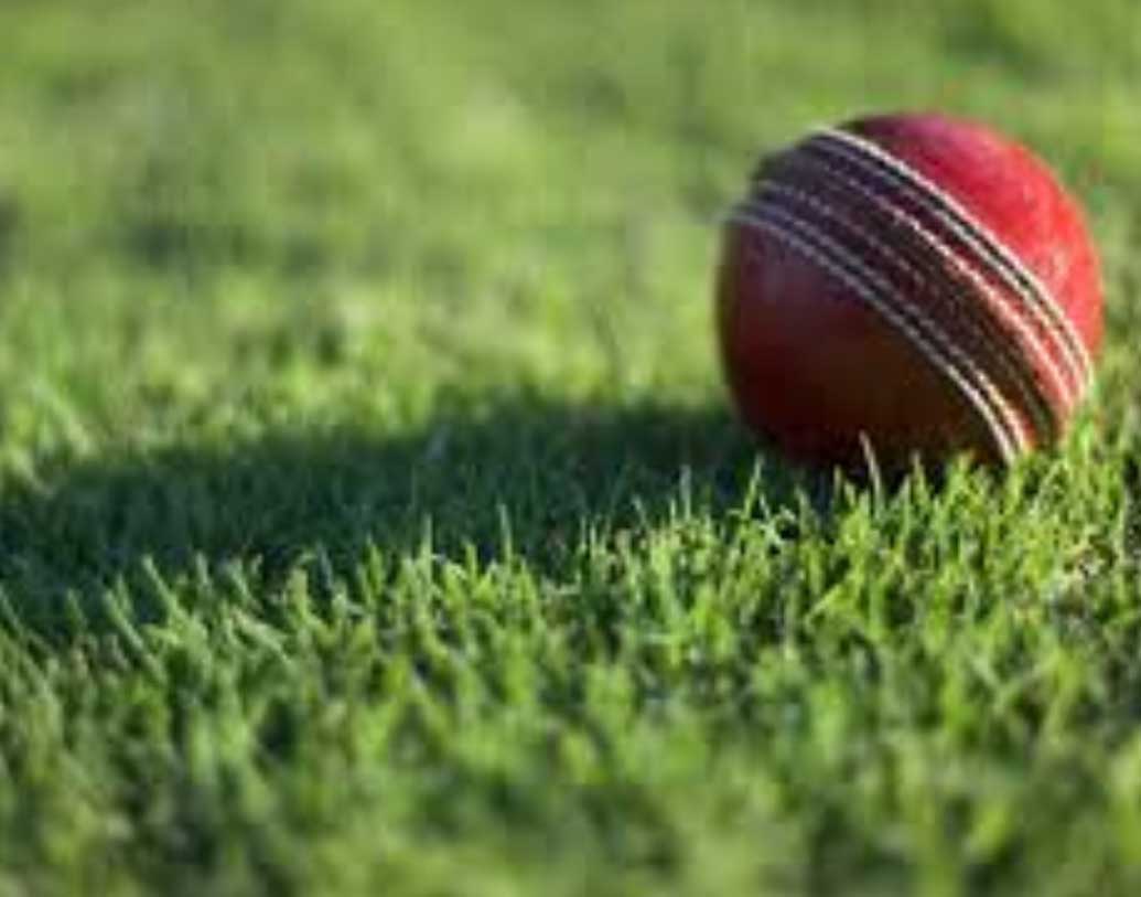 দুই দলের বোলারদের মধ্যে চারজনকে বেস্ট বোলারের তকমা পেতে পারেন। ভারতের যুজবেন্দ্র চহাল, যশপ্রীত বুমরা এবং পাকিস্তানের মহম্মদ আমির ও ওয়াহাব রিয়াজ।