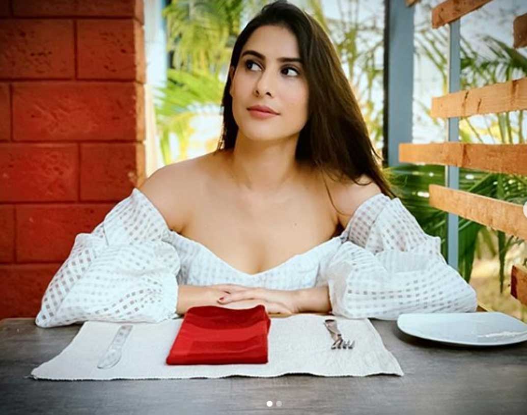 তবে আইটি নিয়ে পড়াশোনা করলেও এই তরুণী কিন্তু পেশায় একজন মডেল। ২০১১ সালে মিস হিমাচল প্রদেশ হয়েছিলেন। সম্প্রতি মডেলিং থেকে অভিনয় শুরু করেছেন তিনি।