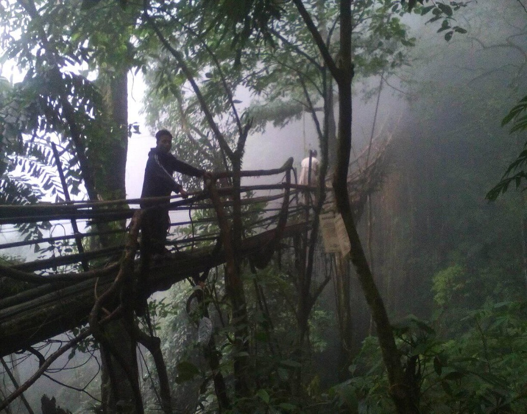 স্থানীয় বাসিন্দাদের মতে, এই সেতু তৈরিতে ১৫ বছর সময় লাগলেও ২০ থেকে ৩০ বছর ধরে এই সেতুর শিকড়গুলির যত্ন নেওয়া হয়, যাতে সেটি মানুষের ভার বইতে পারে। কমপক্ষে ৫ থেকে ১০ জন দিনে এই সেতুটির উপর দিয়ে যেতে পারে।