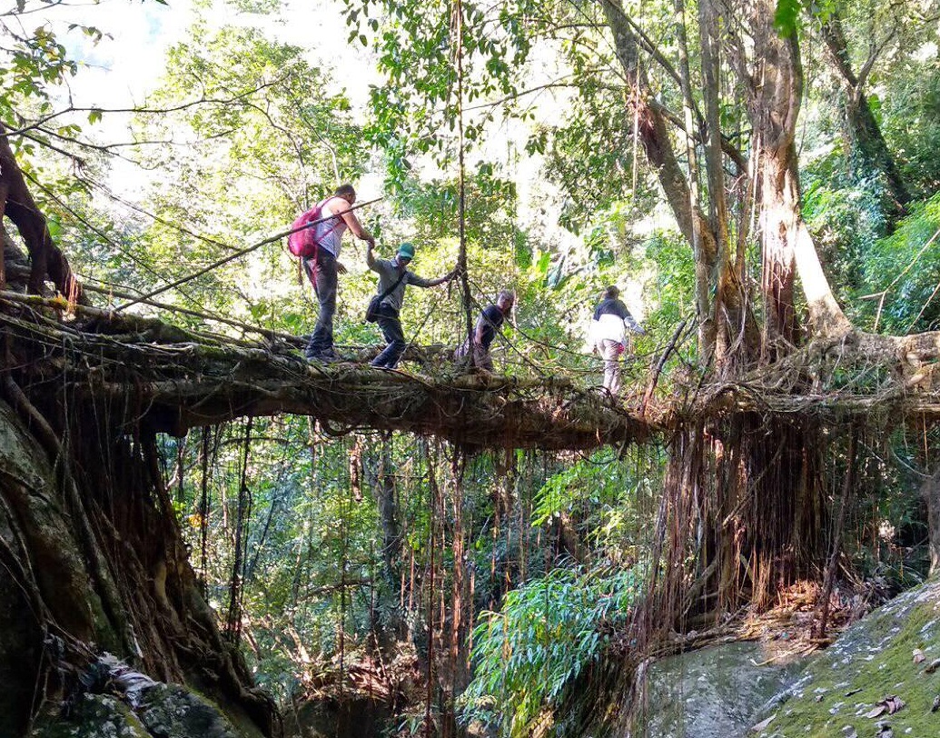 ২০১৬ সালে এই সেতু সংরক্ষণের উদ্যোগ নেওয়া হলেও, ২০১৮ সালে মর্নিংস্টার 'লিভিং ব্রিজ ফাউন্ডেশন' (এলবিএফ)-এর শুরু করেন। বর্তমানে এর সদস্যসংখ্যা ১০।