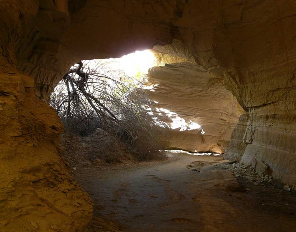 এই জায়গার আরও একটি বৈশিষ্ট্য তথা রহস্য হল ইওরাম গুহা। মাসাদা মালভূমির ১০০ মিটার নীচেই খোঁজ মেলে ইওরাম গুহার যেখানে সেই সময়ে ঢোকা প্রায় অসম্ভব ছিল। এই গুহায় দেখতে পাওয়া যায় বহু গাছ। যেখানে সূর্যের আলো ঠিক ভাবে পৌঁছয় না, সেখানে এত বছর ধরে গাছগুলি প্রায় আলো ও জল ছাড়া কী ভাবে বেঁচে ছিল সেটা এক রহস্য।
