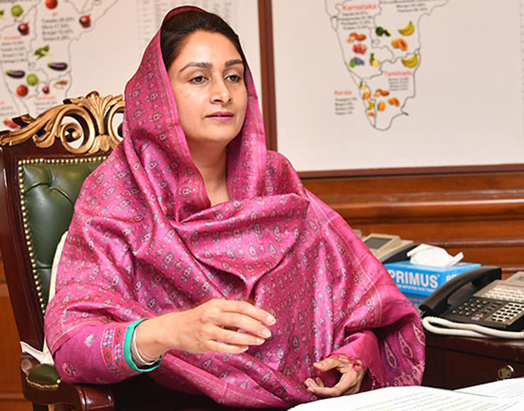 দিল্লিতে বড় হয়েছেন হরসিমরত। পড়াশোনা করেছেন টেক্সটাইল ডিজাইনিং নিয়ে।