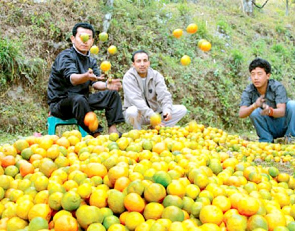 ২০১৪ থেকে কীটনাশকের ব্যবহার সিকিমে ফৌজদারি অপরাধ হিসেবে গণ্য করা হয়। জমিতে কীটনাশক ব্যবহার করলে বিশাল আর্থিক জরিমানা, এমনকি তিন মাস পর্যন্ত জেলও হতে পারে।