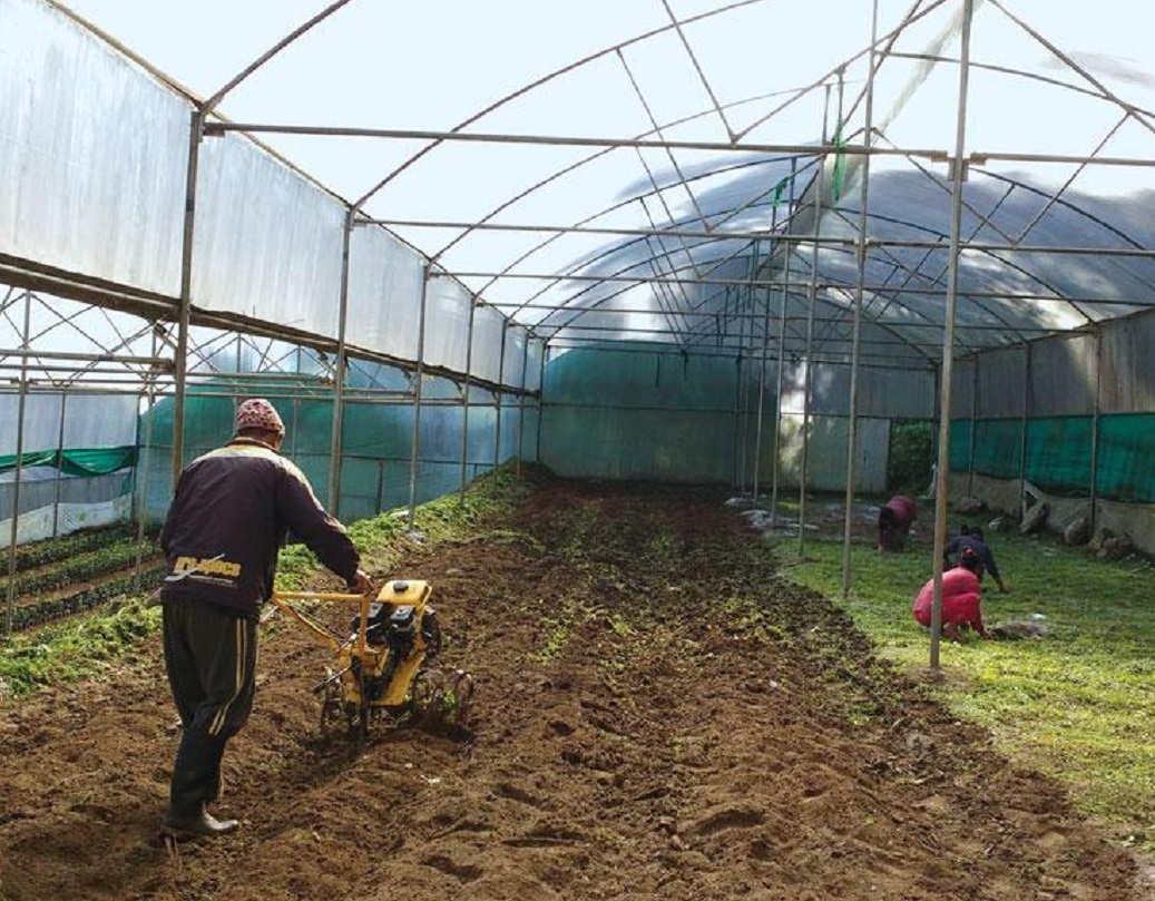 জৈব চাষের ব্যাপারে সচেতনতা বাড়াতে সিকিমে স্কুলের সিলেবাসের মধ্যেও অন্তর্ভুক্ত করা হয়েছে জৈব চাষের পদ্ধতি।